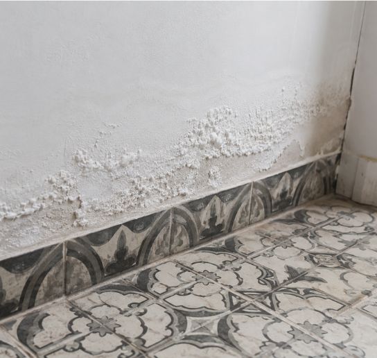 zoutuitbloeiingen muur opstijgend vocht